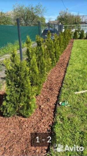 Кора Дуба(мульча)