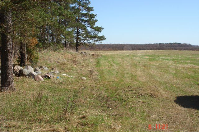 Участок 3,2 га (СНТ, ДНП)