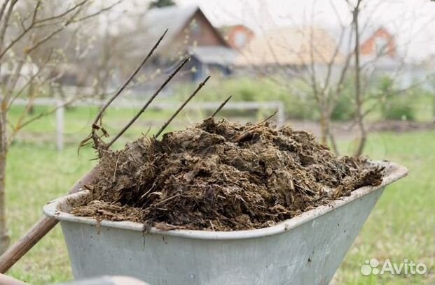 Навоз,перегной,коровий,конный,птичий