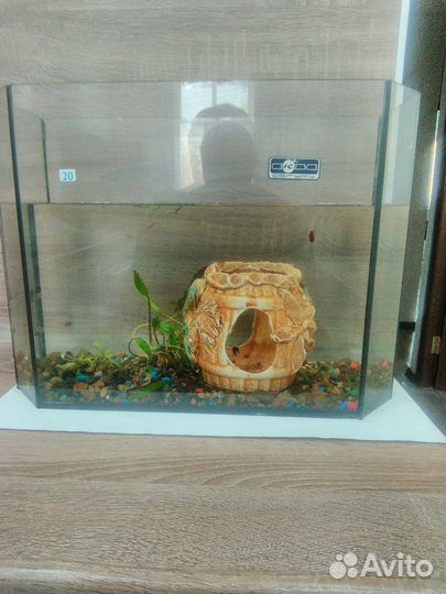 Аквариум с рыбками
