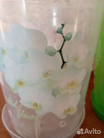 Горшки для орхидей