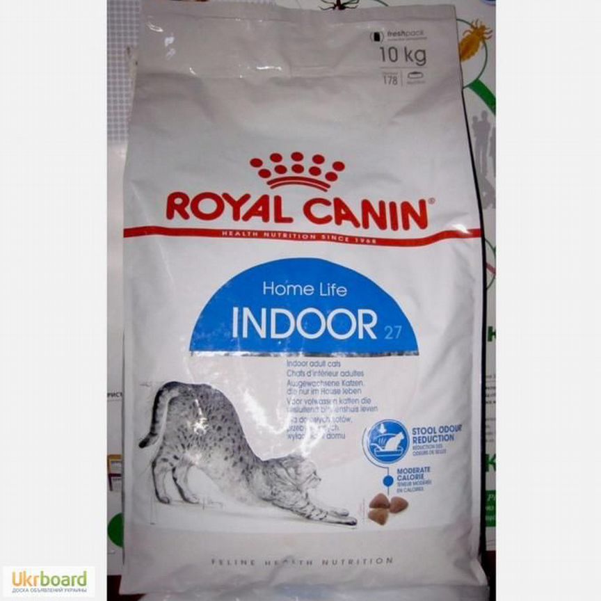 Royal canin indor