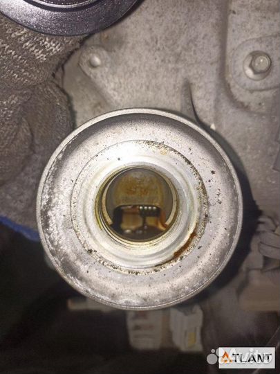 Двигатель nissan note