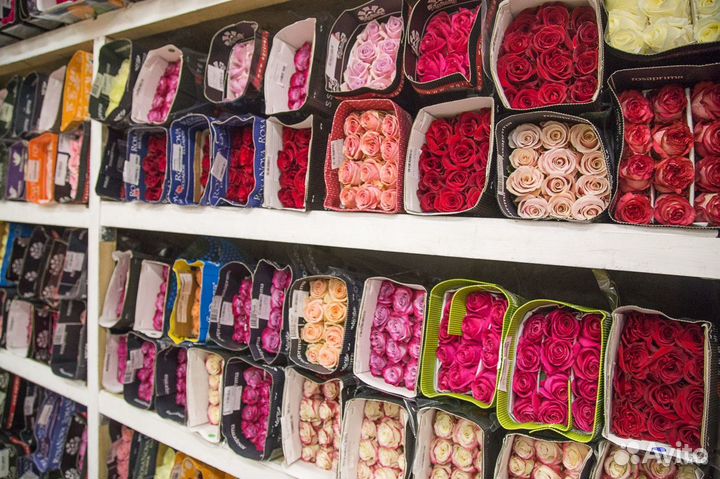 Розы оптом от 15 штук.101 роза оптом. Новосибирск