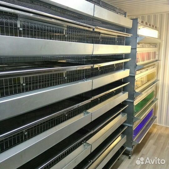 Перепелиная модульная Ферма