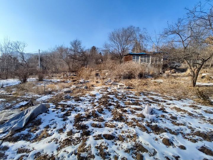 Участок 13,3 сот. (СНТ, ДНП)