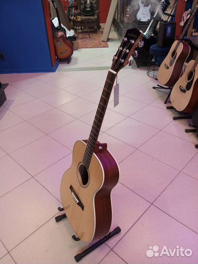 Гитара массив Parkwood с чехлом