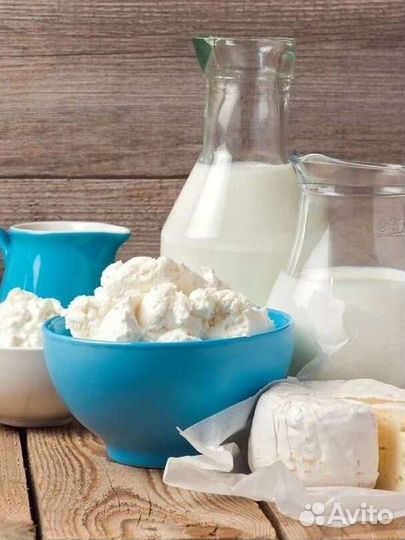 Молоко, сметана, творог, сыр, сливки