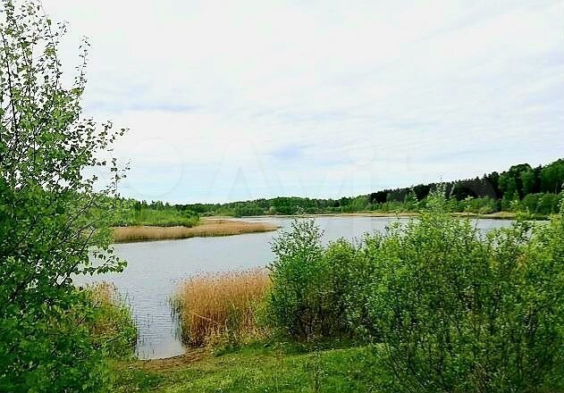 Участок 15,8 сот. (ИЖС)