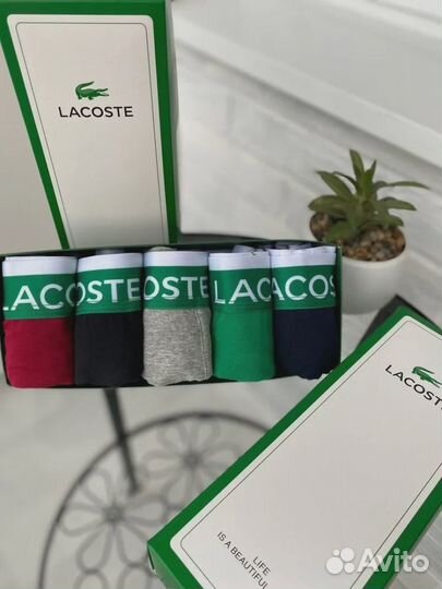 Мужские трусы Lacoste