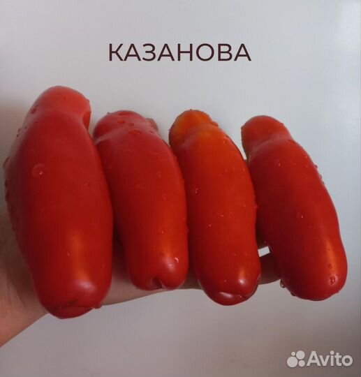 Помидоры, семена