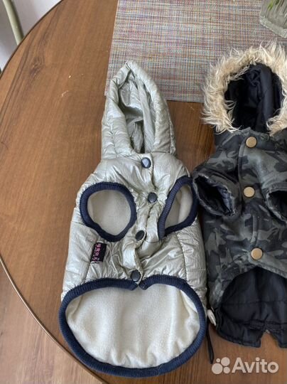 Одежда для маленьких собак