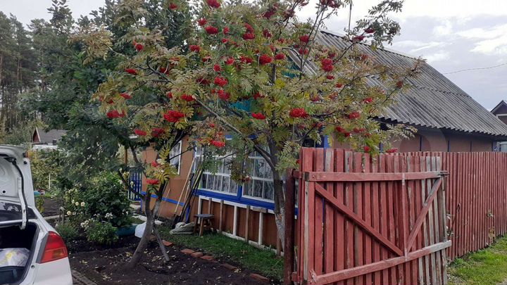 Дача 32,9 м² на участке 4,7 сот.