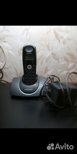 Panasonic