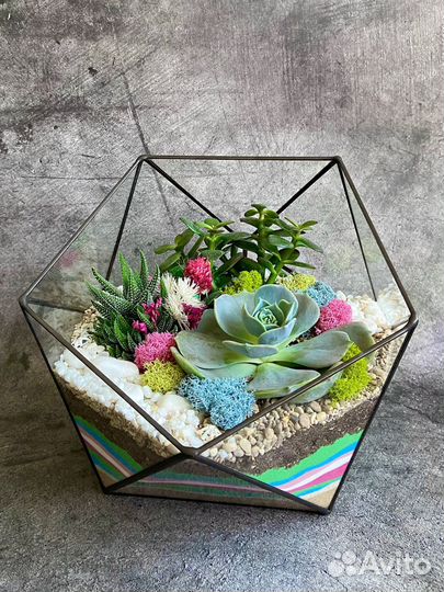 Флорариум бонсай подарок