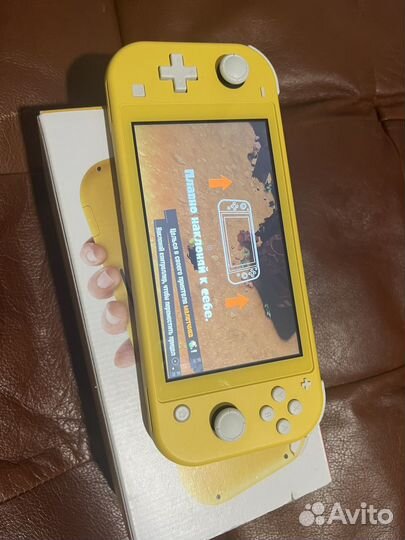 Nintendo switch lite