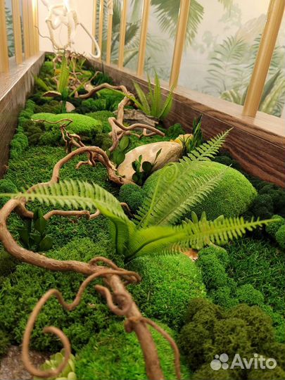 Озеленение интерьера