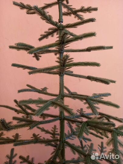 Елка ель советская СССР новогодняя