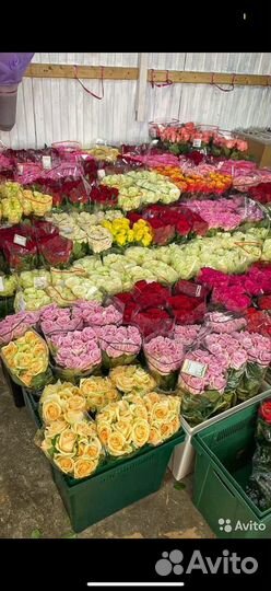 Цветы Оптом Розницу Букеты Доставка