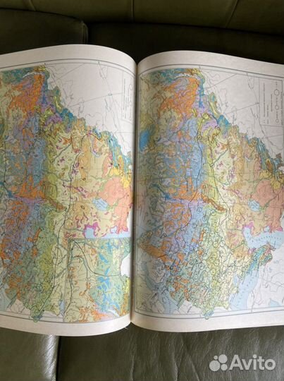 Атлас ареалов и ресурсов лекарственных растений