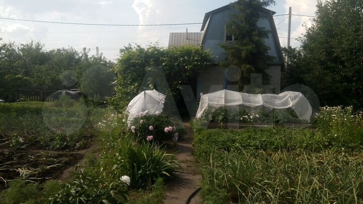 Дача 24 м² на участке 6 сот.