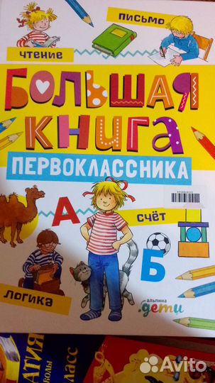 Большая книга первоклассника