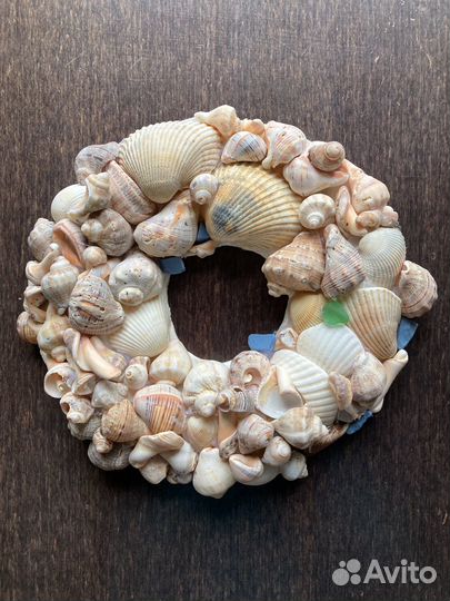 Морские ракушки раковины