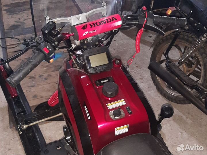 Irbis Dingo t150 снегоход