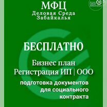 Бизнес план для социального контракта, Чита