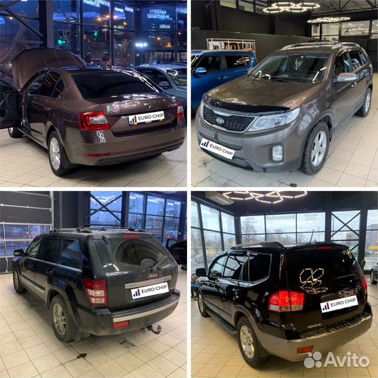 Чип тюнинг, прошивка Евро 2, отключение AdBlue