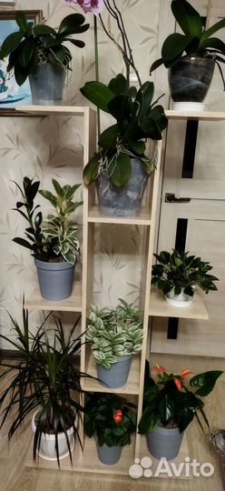 Полочка для цветов