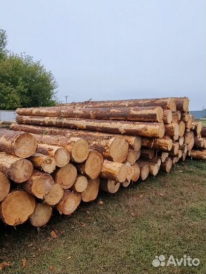Лес кругляк,продается сосна пиловочник от 18 до 65