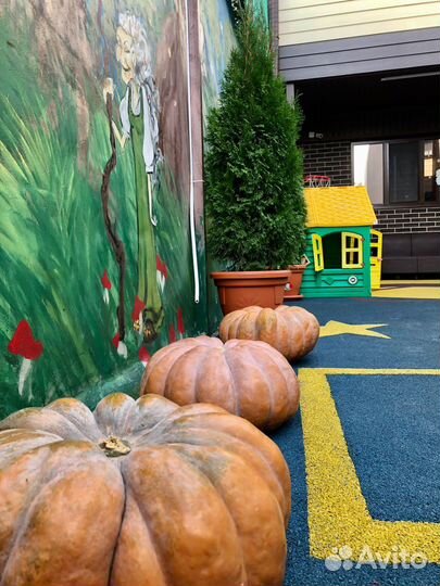 Частный детский сад (Лицензированный)