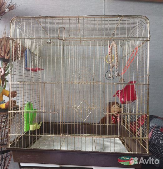 Клетка для попугая 50х60 Б/У