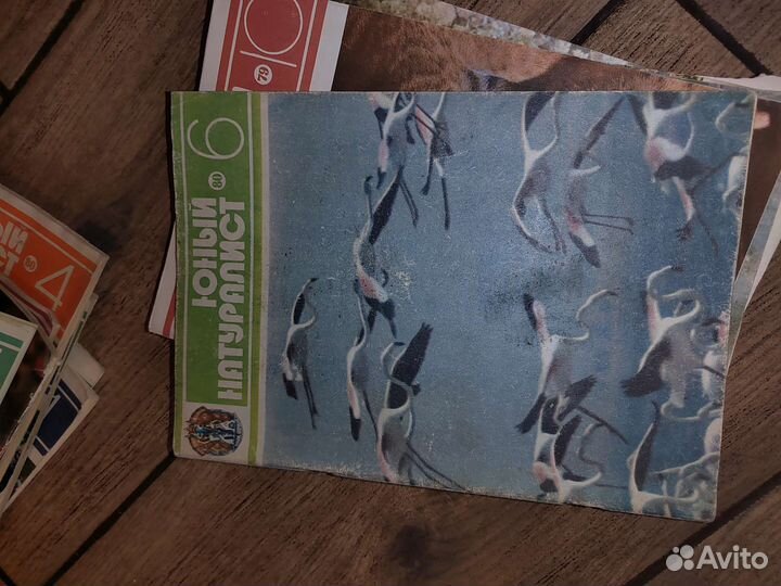 Юный натуралист 79-81 35выпусков