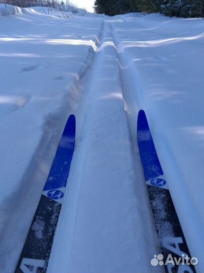 Лыжи Tisa sport wax 207, боты Spine concept skate