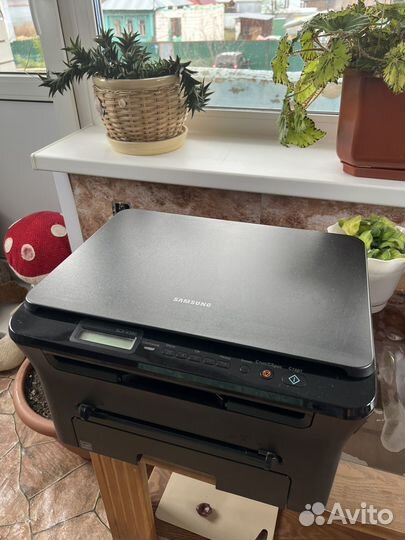 Принтер лазерный мфу samsung scx 4300