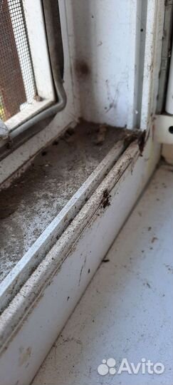 Уборка, клининг, химчистка