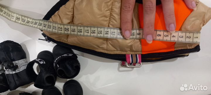 Одежда и обувь для маленькой собачки