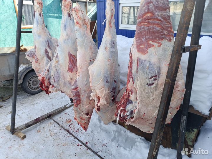 Мясо говядина молодняк домашняя