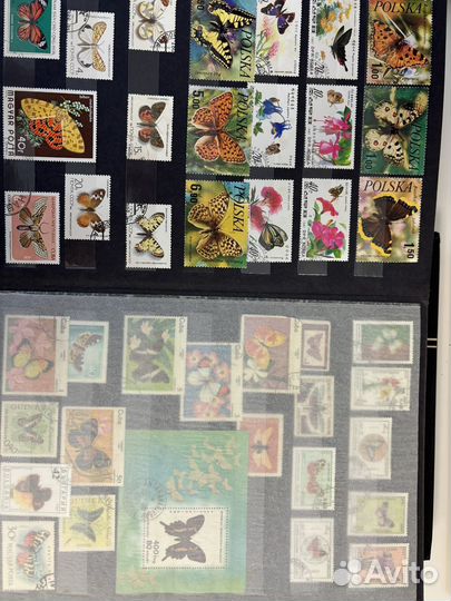 Большая коллекция марок альбомы СССР и иностранные