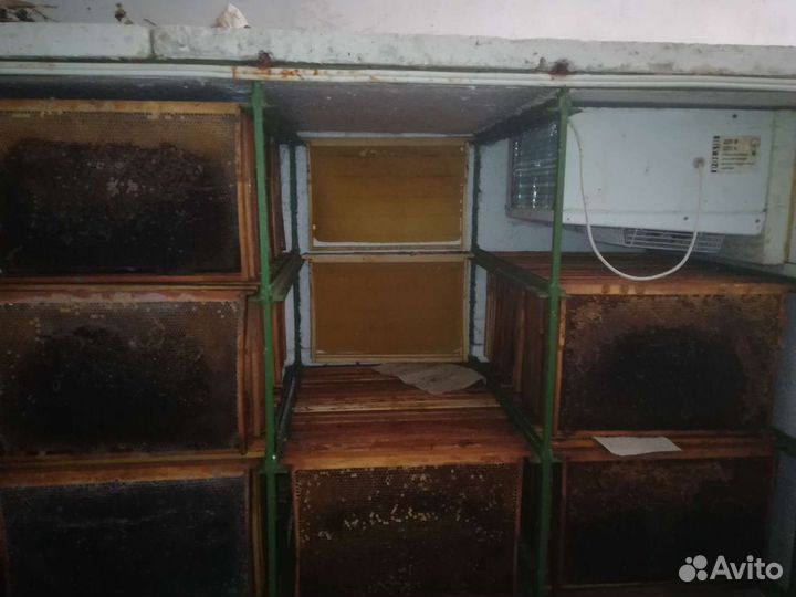 Пасека под ключ