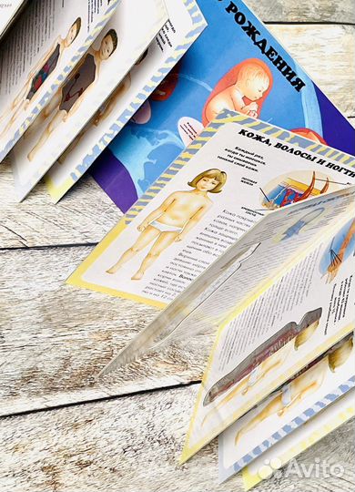 Тело человека. Мой первый атлас