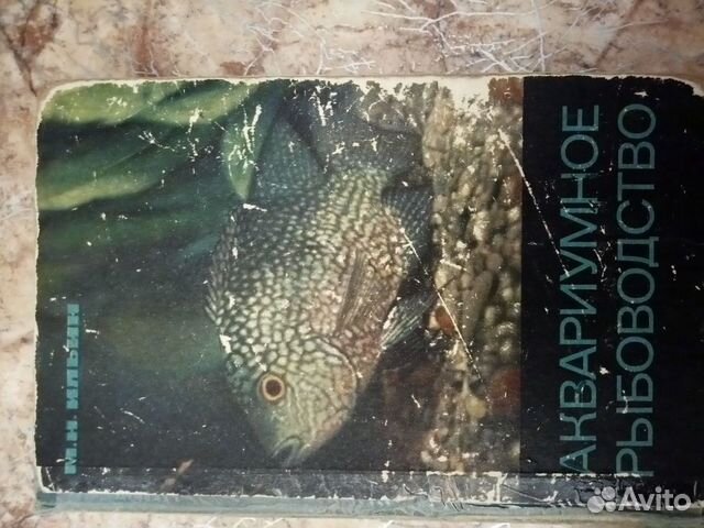 Аквариумное рыбоводство