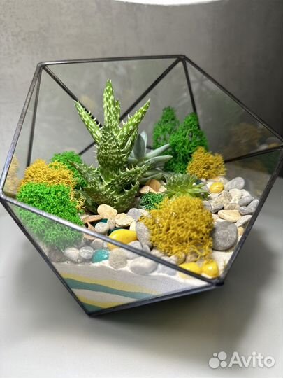 Флоррариум