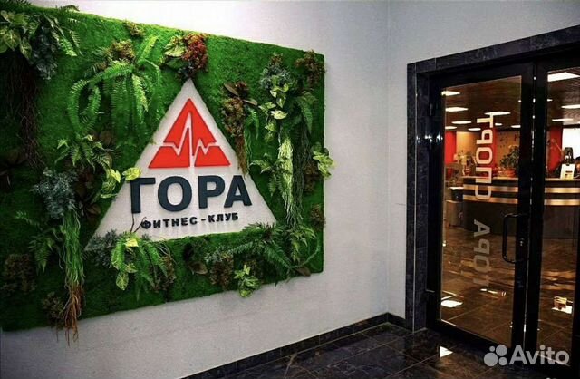Фитнес гора на лесной самара. Фитнес гора на красноармейской. Фитнес гора на красноармейской. Фитнес центр гора самара. Фитнес гора на красноармейской.