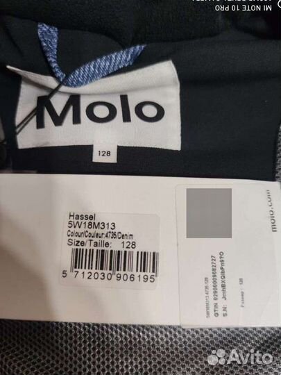 Molo/ Isbjorn