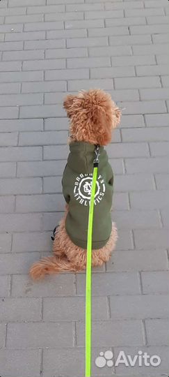Худи толстовка для собаки теплая 35см