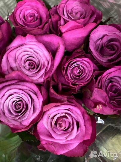 Розы с доставкой, розы в коробке