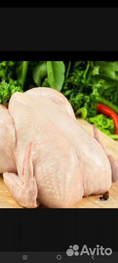 Мясо домашней птицы